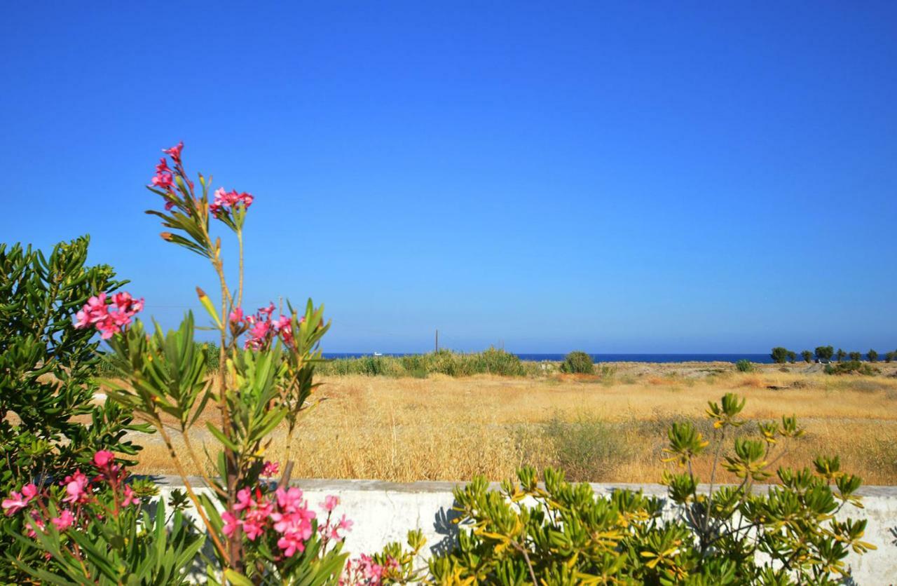 S-Eva Resort Колимбия Екстериор снимка